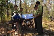 "Người rừng" ồ ạt xin nghỉ việc: Bao giờ thoát vòng luẩn quẩn?