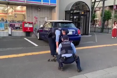 Cảnh sát Nhật chặn đường để bảo vệ... đàn vịt băng qua đường