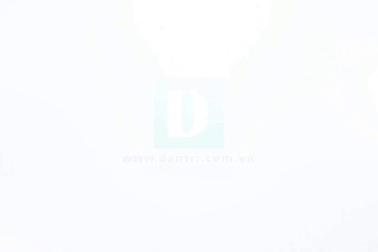 Giám đốc Sở Y tế Nghệ An Hoàng Văn Hảo thông tin về buổi làm việc với lãnh đạo Bệnh viện 115 Nghệ An liên quan đến sự việc nhân viên y tế của bệnh viện bị hành hung