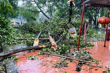 Yên Bái thiệt hại khoảng 11 tỷ đồng do mưa to kèm theo gió lốc
