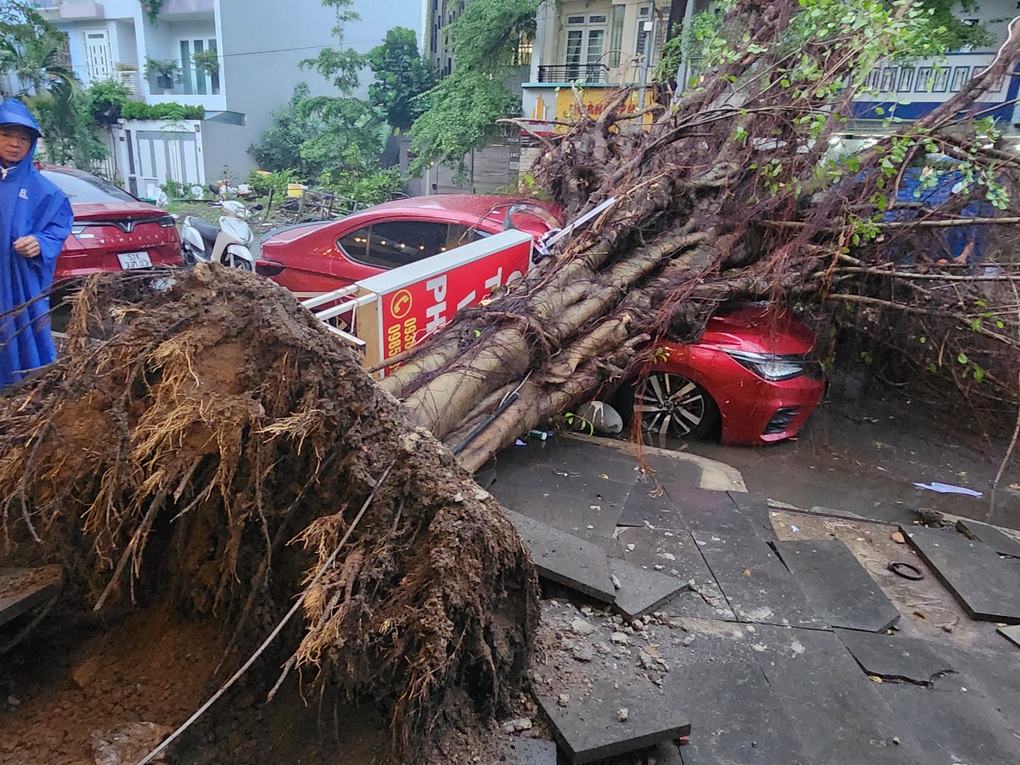 Cây lớn đè ngang ô tô sau cơn mưa lớn ở TP Thủ Đức - 2 Cây lớn đè ngang ô tô sau cơn mưa lớn ở TP Thủ Đức - 2