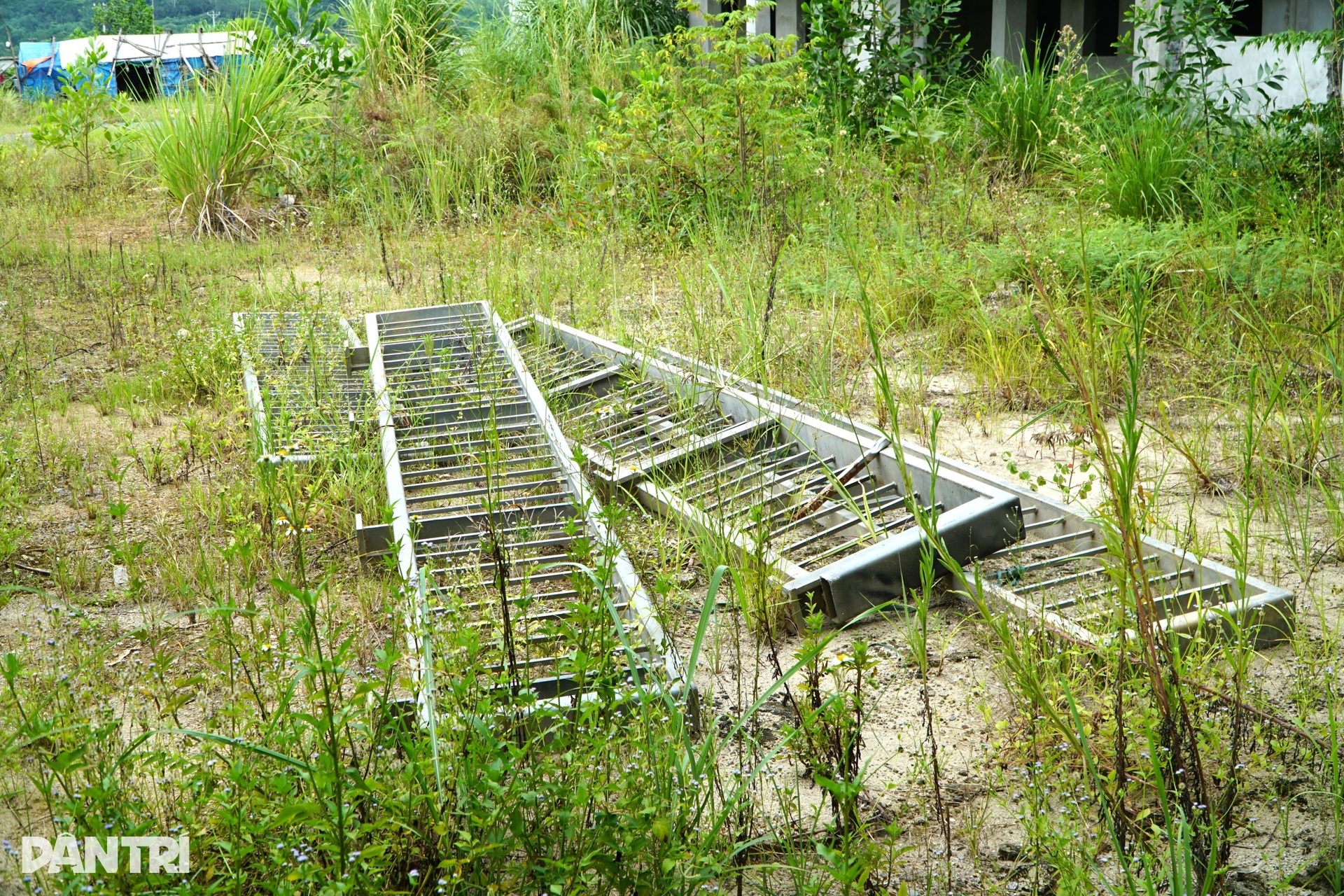 Dự án trường mầm non gần 30 tỷ đồng ở Thanh Hóa dang dở, cỏ dại mọc um tùm - 6