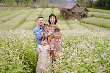 Khách đổ xô đến chụp ảnh cánh đồng tam giác mạch trái mùa ở Hà Nội