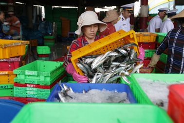 Quyết liệt chống khai thác hải sản trái phép tại vùng biển nước ngoài