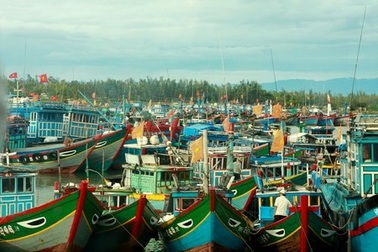 Hơn 4 vạn tàu cá được thông báo về áp thấp nhiệt đới