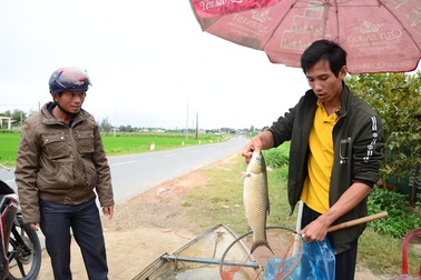 Làng nuôi cá lồng "hốt bạc" dịp đầu Xuân