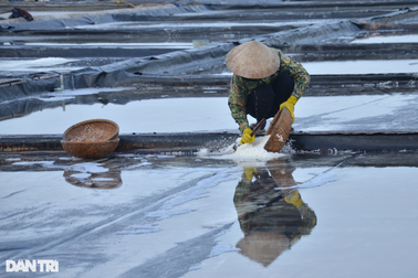 Nghề "làm một ngày đủ ăn cả năm"
