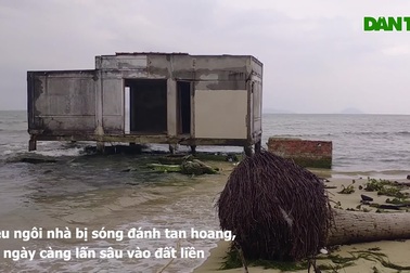 Hàng cây số bờ biển Quảng Nam bị biển xâm thực mạnh