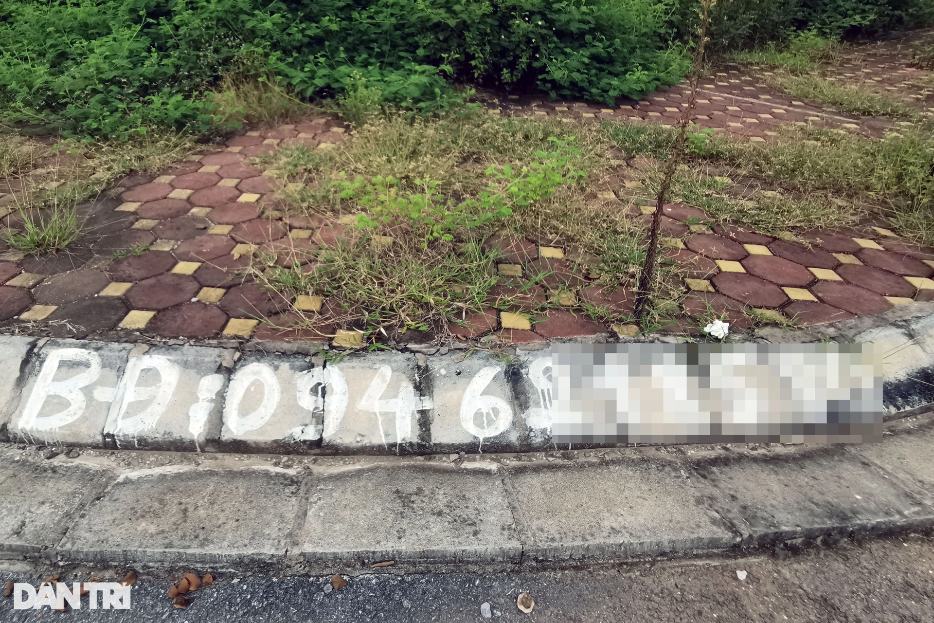 Khu đô thị gần 200ha ở Nam Định phần lớn bỏ hoang, thành nơi nuôi gia súc - 11 Khu đô thị gần 200ha ở Nam Định phần lớn bỏ hoang, thành nơi nuôi gia súc - 11