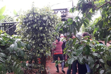 Thầy giáo tử vong cạnh một phụ nữ chết trong tư thế treo cổ