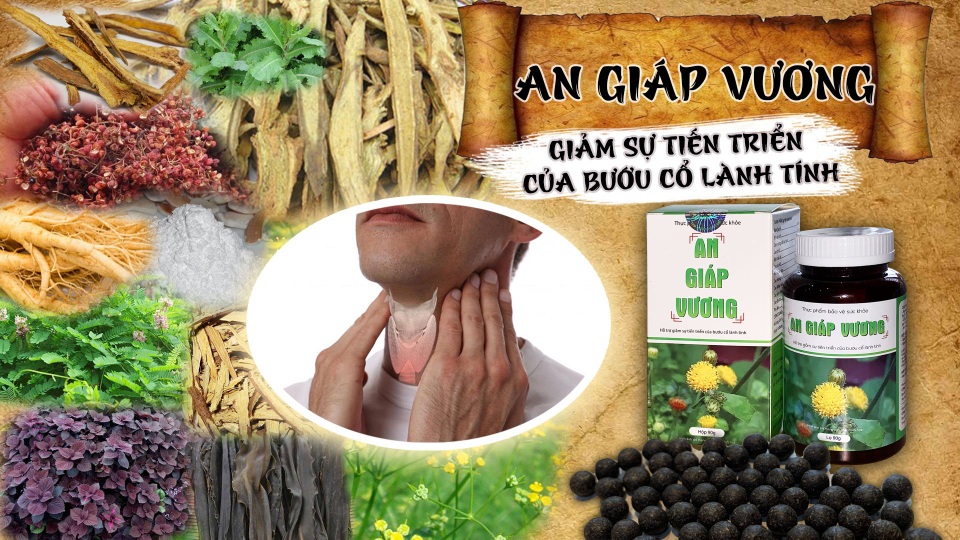 An Giáp Vương - hỗ trợ điều trị các bệnh tuyến giáp, bướu cổ - 3 An Giáp Vương - hỗ trợ điều trị các bệnh tuyến giáp, bướu cổ - 3