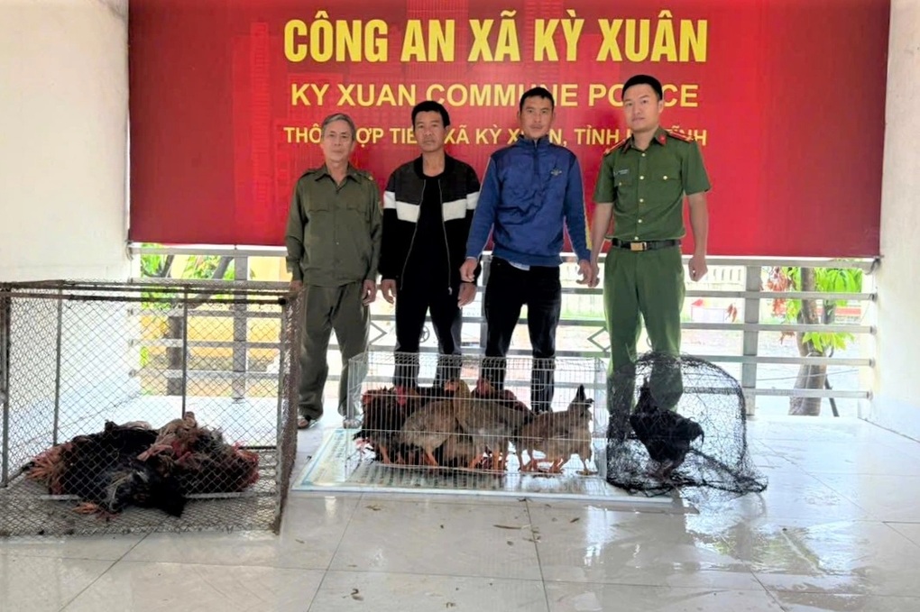 Đôi bạn nhậu rủ nhau trộm cắp 24 con gà - 1 Đôi bạn nhậu rủ nhau trộm cắp 24 con gà - 1