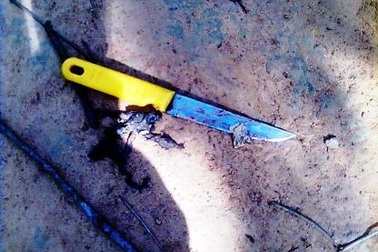 Nam thanh niên đến nhà bạn gái ăn nhậu rồi sát hại hàng xóm