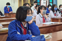 Hải Phòng không thu phí tuyển sinh đầu cấp năm học 2023-2024