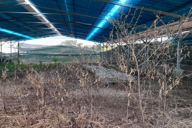 Đắk Lắk xử lý nghiêm việc lắp đặt điện mặt trời mái nhà sai quy định