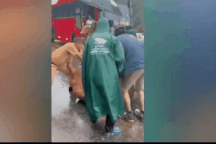 Hình ảnh cán bộ chiến sĩ CSGT làm nhiệm vụ ở đèo Bảo Lộc trước lúc hy sinh