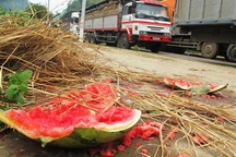 Nông sản bí đầu ra, đừng trách nông dân!
