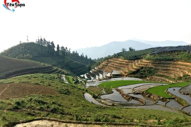 Thưởng thức tháng 5 ở Sapa