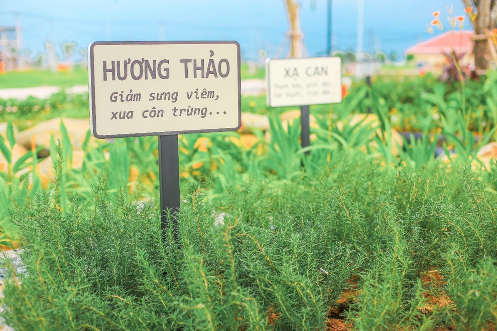 Covid-19 - tác nhân thay đổi xu hướng chọn nhà của một bộ phận gia đình thành thị - 3 Covid-19 - tác nhân thay đổi xu hướng chọn nhà của một bộ phận gia đình thành thị - 3