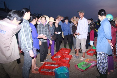 “Thủ phủ” hải sản lại nhộn nhịp kẻ bán, người mua