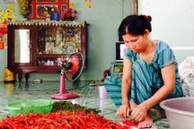 Lao động phổ thông dễ tìm việc thời điểm cận Tết