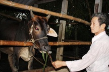 Biến đất hoang thành trang trại doanh thu tiền tỷ