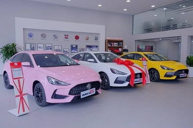 Một nửa HĐQT của nhà phân phối ô tô lớn nhất Việt Nam bất ngờ từ nhiệm