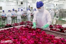 Ưu tiên tuyển người từng xuất khẩu lao động trở về nước