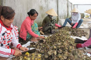 Thu tiền tỉ từ đồ bỏ đi