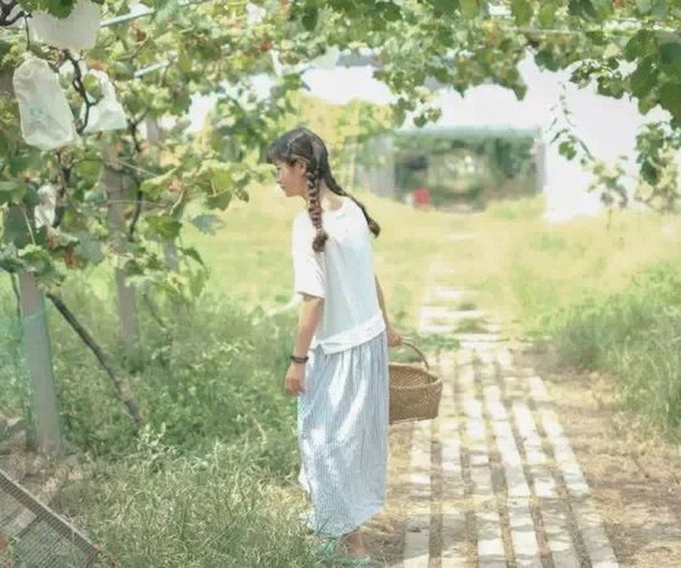 Cô gái dành hết tiền tiết kiệm về quê làm nhà vườn đẹp như cổ tích - 8 Cô gái dành hết tiền tiết kiệm về quê làm nhà vườn đẹp như cổ tích - 8