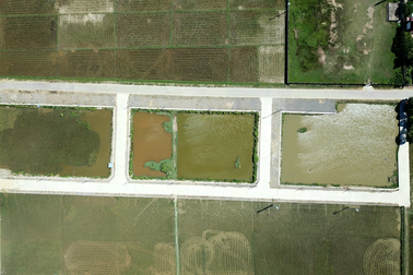 Em trai phó chủ tịch huyện trúng đấu giá 23 lô đất: Đề nghị thanh tra