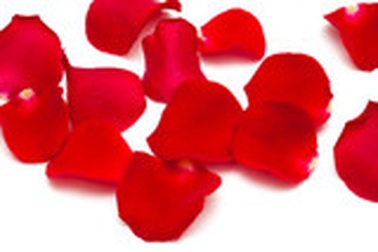 Em đành buông tay