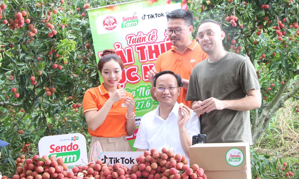 Phó Chủ tịch UBND tỉnh livestream chốt đơn hàng tấn vải thiều - 1 Phó Chủ tịch UBND tỉnh livestream chốt đơn hàng tấn vải thiều - 1