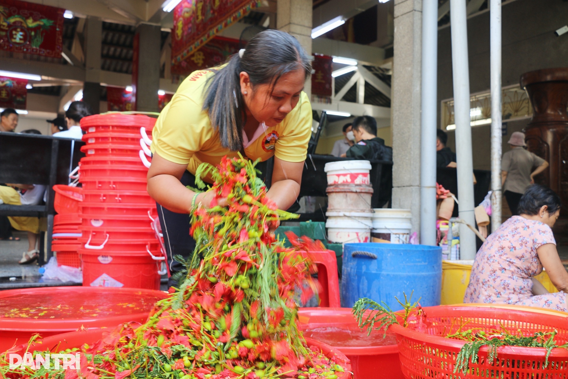 Cận cảnh quá trình nấu 9 loại hoa tắm tượng Bà Chúa Xứ núi Sam - 3 Cận cảnh quá trình nấu 9 loại hoa tắm tượng Bà Chúa Xứ núi Sam - 3