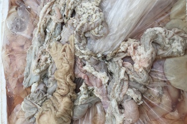 Xe khách chở 4 tạ lòng lợn bốc mùi hôi thối chuyển màu