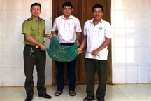 Trăn quý hiếm bò vào nhà dân bắt gà