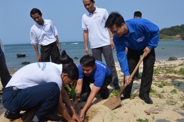 Thanh niên Lào trồng cây bàng vuông trên quê hương Hải đội Hoàng Sa