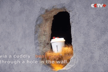 Sự thật bất ngờ phía sau lỗ thủng trên tường ở quán cafe đông bất thường