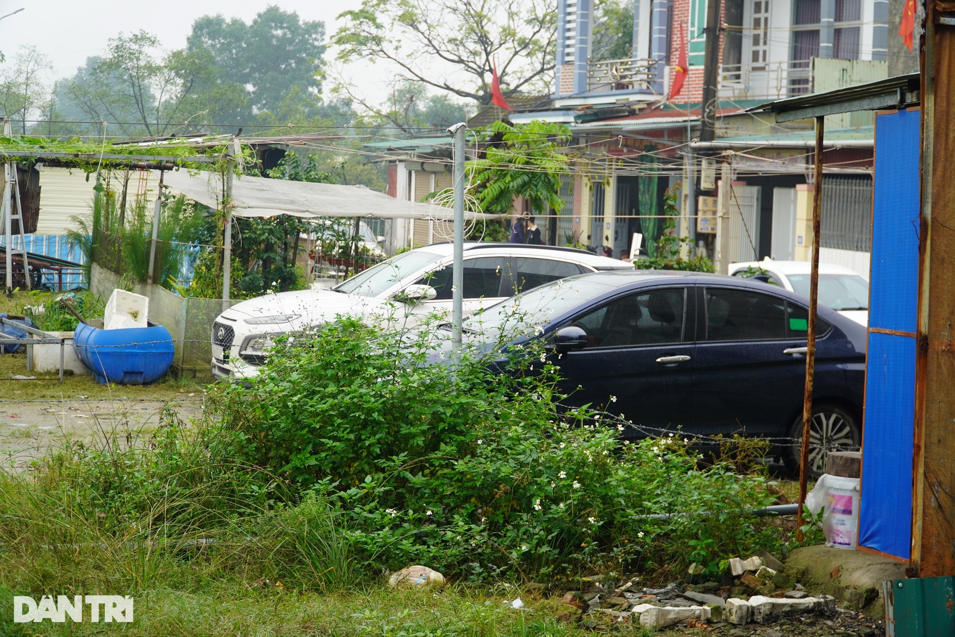 Gần 10.000m2 đất vàng nhiều năm bị bỏ hoang, thành nơi thả gà - 10 Gần 10.000m2 đất vàng nhiều năm bị bỏ hoang, thành nơi thả gà - 10