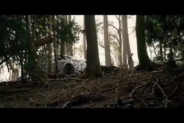 Range Rover Evoque mui trần thể hiện khả năng off-road