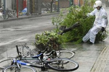 Bão hoành hành miền nam Nhật Bản, 44 người bị thương