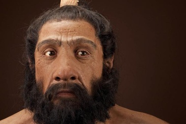 Người Neanderthal ngăn nhân loại khỏi bị bệnh cúm xóa sổ bằng cách nào?