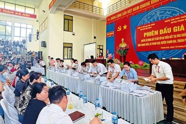 Bối rối trước quy định mới về lựa chọn đơn vị tổ chức đấu giá đất