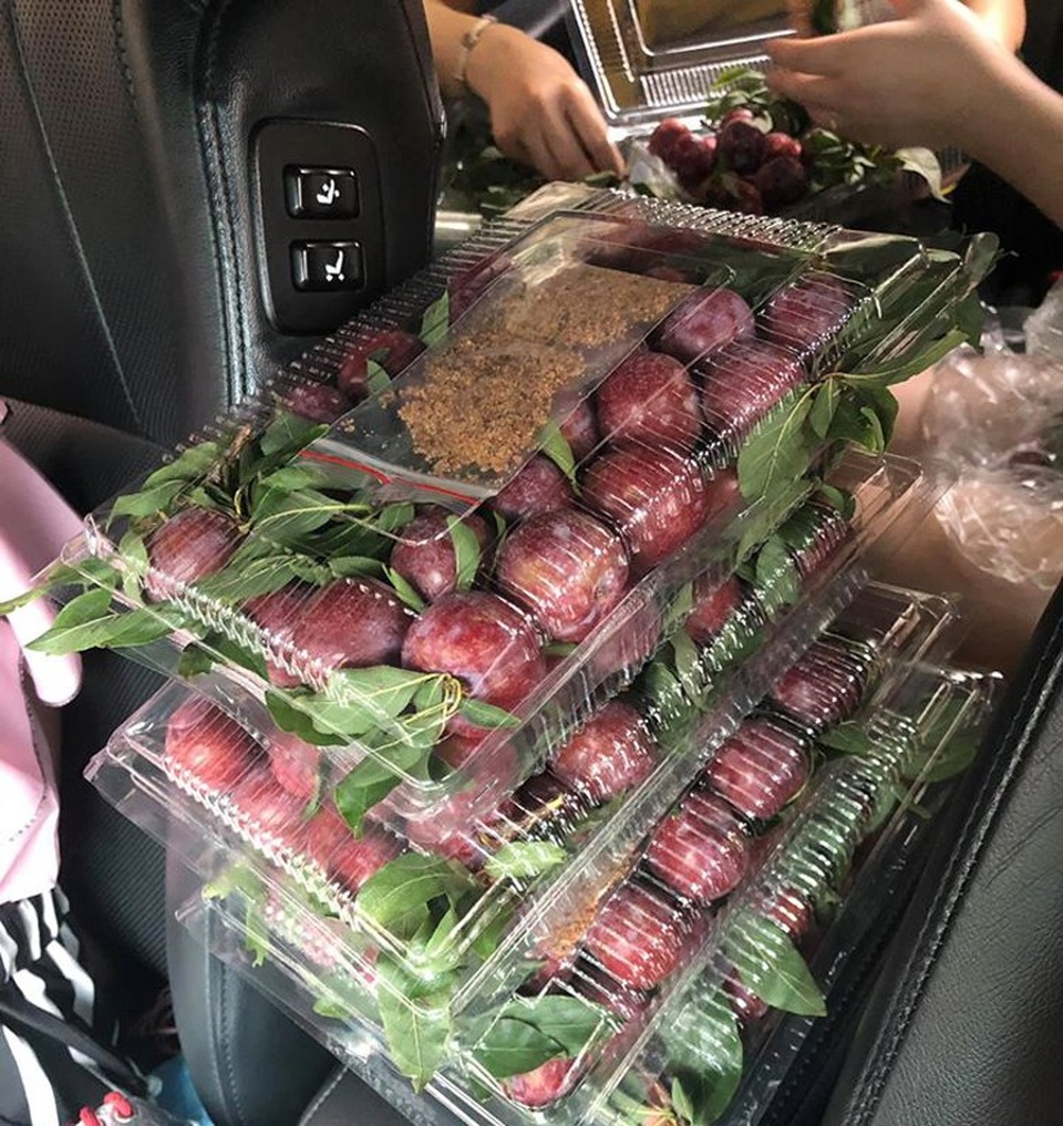 Mận đồi Pu Nhi ngọt như cherry, giá đắt ngang nho Mỹ vẫn “cháy” hàng - 13 Mận đồi Pu Nhi ngọt như cherry, giá đắt ngang nho Mỹ vẫn “cháy” hàng - 13