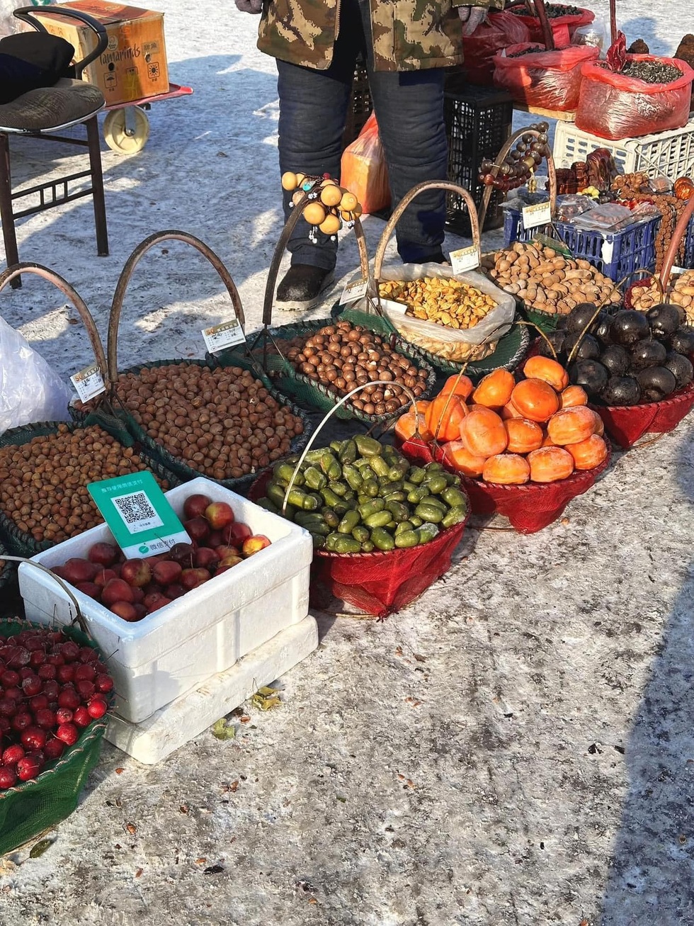 Khách Việt chi 45 triệu đồng thử sống ở nơi lạnh -30 độ C, cá lên bờ hóa đá - 15