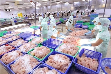 Sức mạnh tỷ USD gặp khó, hàng nghìn hộ dân lỗ nặng