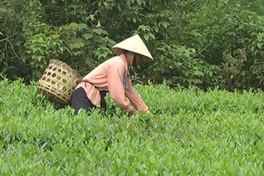 Bàn thêm về tuổi nghỉ hưu của nữ công nhân viên chức