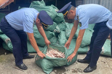 Phát hiện kho lạnh chứa gần 8 tấn chân gà không rõ nguồn gốc
