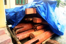 Xem xét kỷ luật Phó Chủ tịch xã ký giấy tờ mạo danh