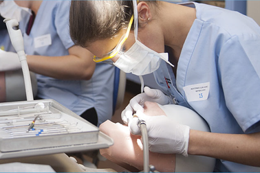 Chưa có nhiều tổ chức đào tạo chuyên sâu chính quy về chỉnh nha